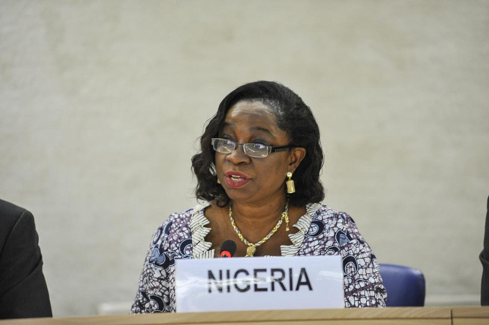 Global Recognition for Nigeria MDGs Efforts