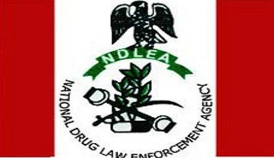 Nigeria’s NDLEA arrests 5 suspects<br />
<b>Deprecated</b>: strip_tags(): Passing null to parameter #1 ($string) of type string is deprecated in <b>/var/www/vhosts/economicconfidential.com/httpdocs/wp-content/themes/Newspaper/loop-single.php</b> on line <b>64</b><br />
Nigeria’s NDLEA arrests 5 suspects