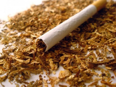 Tobacco: Between the Law and Stakeholders