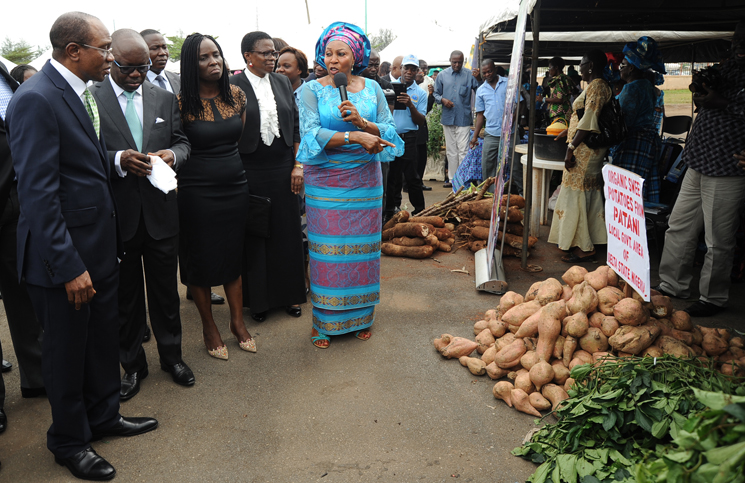 Cautious Optimism as CBN, Banks Plan Loan Boost for SMEs, Agric