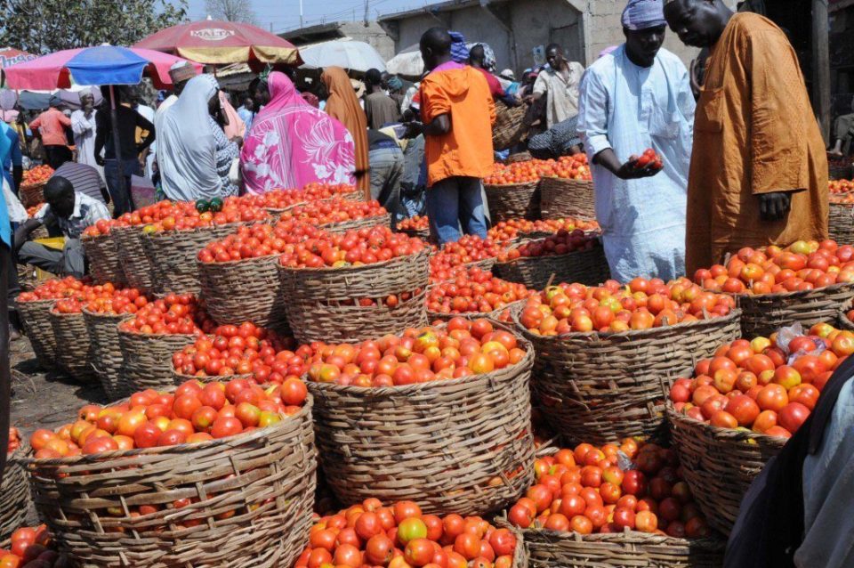 CSOs Call For Increased Allocation To Agric Sector