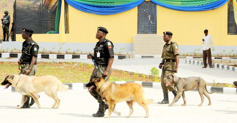 N600m Spent on purchase of Dogs- IG<br />
<b>Deprecated</b>: strip_tags(): Passing null to parameter #1 ($string) of type string is deprecated in <b>/var/www/vhosts/economicconfidential.com/httpdocs/wp-content/themes/Newspaper/loop-single.php</b> on line <b>64</b><br />
N600m Spent on purchase of Dogs- IG