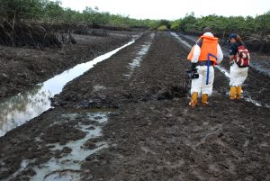 Ogoniland-2