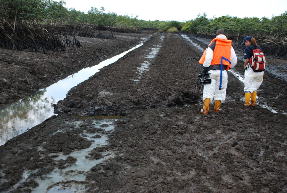 Cleaning Ogoniland: The Myths And Realities