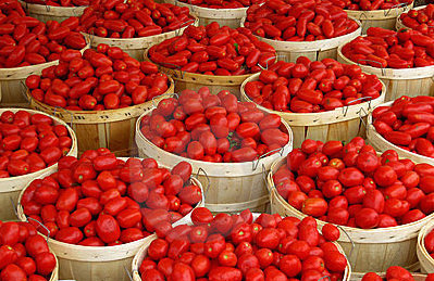 Farmers Seek Standard Tomatoes Storage Facilities