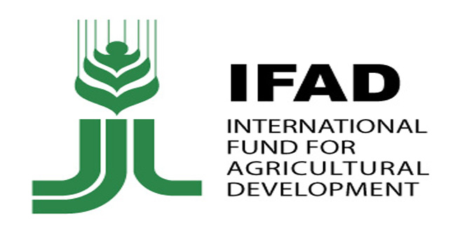 Africa Spends $35bn Yearly on Food Importation, Says IFAD President