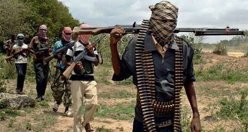 Boko Haram: ONSA Indicts Fertiliser Firms for Security, Economic Sabotage