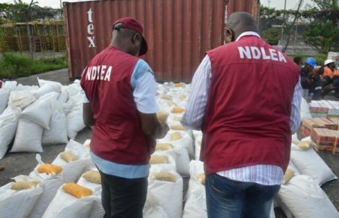 NDLEA officials