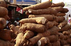 U.K. Investors To Train Agricultural Exporters