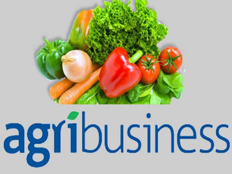 Agri-Business Food