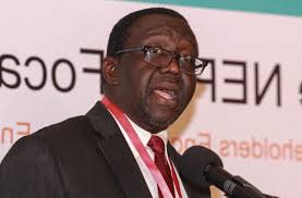 ‘Nigeria Can Earn $500bn from Privatisation, Economic Diversification in Five Years’
