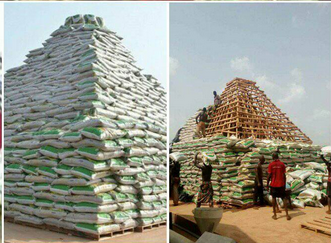 Borno Farmers Ready for Rice Pyramid