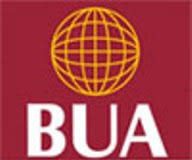 BUA Group