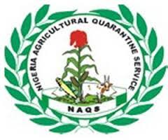 Agric Commodities Export Exceeds 150% In One Year – NAQS