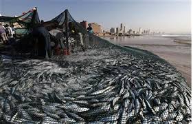 Nigeria Loses $2.7bn Yearly To Illegal Fishing, Piracy