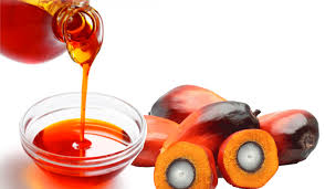 Nigeria’s Palm Oil Deficit Worth $800m<br />
<b>Deprecated</b>: strip_tags(): Passing null to parameter #1 ($string) of type string is deprecated in <b>/var/www/vhosts/economicconfidential.com/httpdocs/wp-content/themes/Newspaper/loop-single.php</b> on line <b>64</b><br />
Nigeria’s Palm Oil Deficit Worth $800m