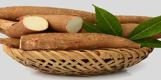 Gov. Seyi Commissions Africa’s First Cassava Factory in Oyo