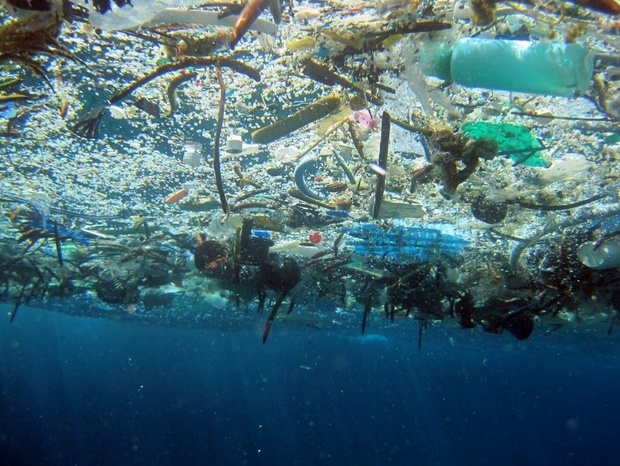 Oceans May Host Plastics than Fish in 2050