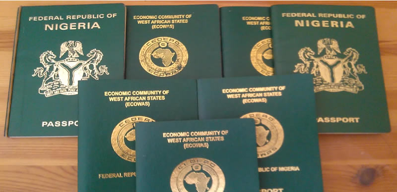 In 12 Months, FG Generates N39bn From Passport Issuance, Others