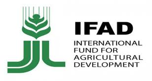 Agric Project Boosts Nigeria Economy With $68.9m – IFAD