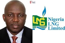 NLNG Records $110bn Revenue