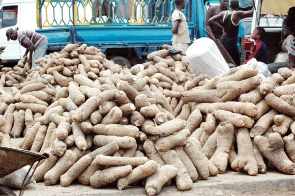 Nigeria Eyes 5,760 tonnes of yam export in 2019 Nigeria Eyes 5,760 tonnes of yam export in 2019