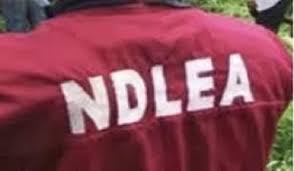 2023: No Drug Test For Presidential Aspirants, IPAC Tackles NDLEA