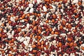 Nigeria Spends N16bn Yearly To Import Beans – FG<br />
<b>Deprecated</b>: strip_tags(): Passing null to parameter #1 ($string) of type string is deprecated in <b>/var/www/vhosts/economicconfidential.com/httpdocs/wp-content/themes/Newspaper/loop-single.php</b> on line <b>64</b><br />
Nigeria Spends N16bn Yearly To Import Beans – FG