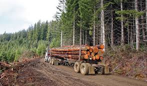 The Gender Lens On The Role Of Women In Forestry And Conservation<br />
<b>Deprecated</b>: strip_tags(): Passing null to parameter #1 ($string) of type string is deprecated in <b>/var/www/vhosts/economicconfidential.com/httpdocs/wp-content/themes/Newspaper/loop-single.php</b> on line <b>64</b><br />
The Gender Lens On The Role Of Women In Forestry And Conservation