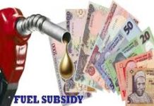 Fuel Subsidy