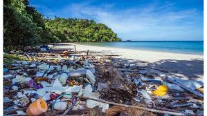 Damage By Plastic, Other Pollution To Marine Environment Hits $13bn