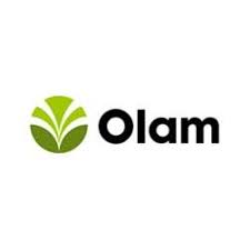 Olam to acquire Dangote flour mill for N130bn<br />
<b>Deprecated</b>: strip_tags(): Passing null to parameter #1 ($string) of type string is deprecated in <b>/var/www/vhosts/economicconfidential.com/httpdocs/wp-content/themes/Newspaper/loop-single.php</b> on line <b>60</b><br />
Olam to acquire Dangote flour mill for N130bn