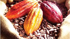 NIRSAL Facilitates N2bn For Cocoa Exports