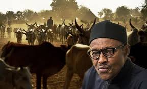 The Economics and Politics Of Ruga Settlements