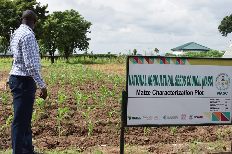 Seed Council Assures Nigerians of Bumper Harvest<br />
<b>Deprecated</b>: strip_tags(): Passing null to parameter #1 ($string) of type string is deprecated in <b>/var/www/vhosts/economicconfidential.com/httpdocs/wp-content/themes/Newspaper/loop-single.php</b> on line <b>64</b><br />
Seed Council Assures Nigerians of Bumper Harvest