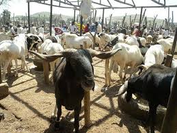 Ahead Of Sallah Celebration, Prices Of Pepper, Ram Rise