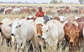 Operators Divided Over FG’s N2bn Grazing Reserves Budget<br />
<b>Deprecated</b>: strip_tags(): Passing null to parameter #1 ($string) of type string is deprecated in <b>/var/www/vhosts/economicconfidential.com/httpdocs/wp-content/themes/Newspaper/loop-single.php</b> on line <b>64</b><br />
Operators Divided Over FG’s N2bn Grazing Reserves Budget
