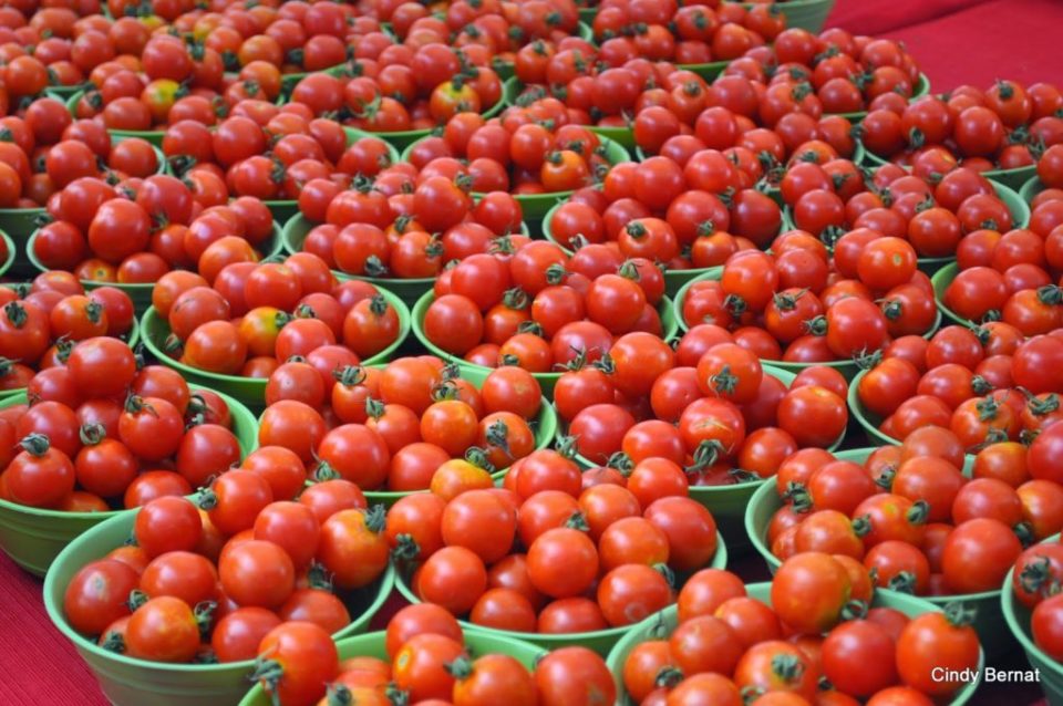 Dangote Seeks Total Ban On Tomato Importation