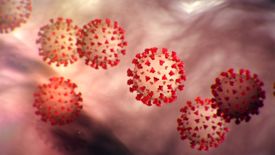 Corona Virus and Nigeria’s Dilemma<br />
<b>Deprecated</b>: strip_tags(): Passing null to parameter #1 ($string) of type string is deprecated in <b>/var/www/vhosts/economicconfidential.com/httpdocs/wp-content/themes/Newspaper/loop-single.php</b> on line <b>64</b><br />
Corona Virus and Nigeria’s Dilemma