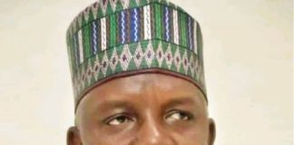 Ex-Minister of Power Engr. Saleh Mamman