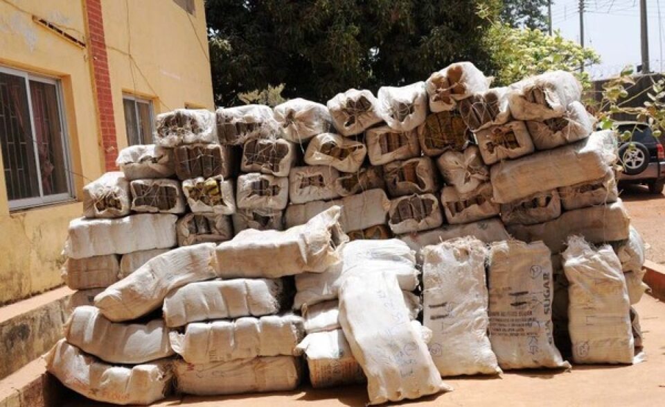 Customs Impound Indian Hemp Worth N1bn