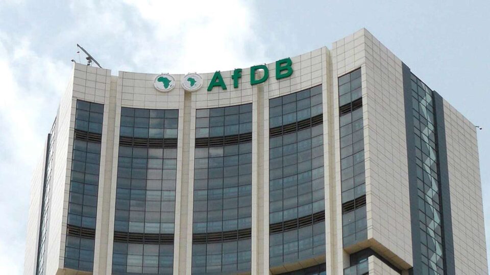 AfDB Governors Authorize Independent Review of Allegation Against Adesina