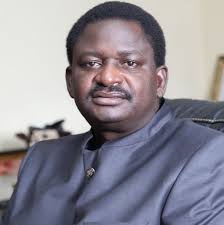 BUA Group: The Other Side Of The Story, by Femi Adesina