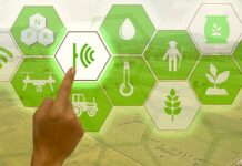 Digital Economy and Agriculture