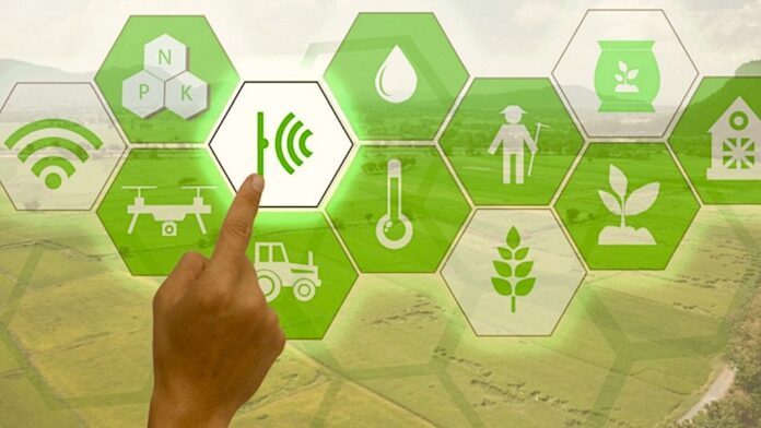 Digital Economy and Agriculture