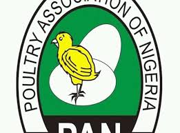 Poultry Farmers Lost N30bn Eggs to Naira Scarcity – Association