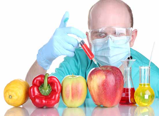 GMOs: Many Issues Around a Technology