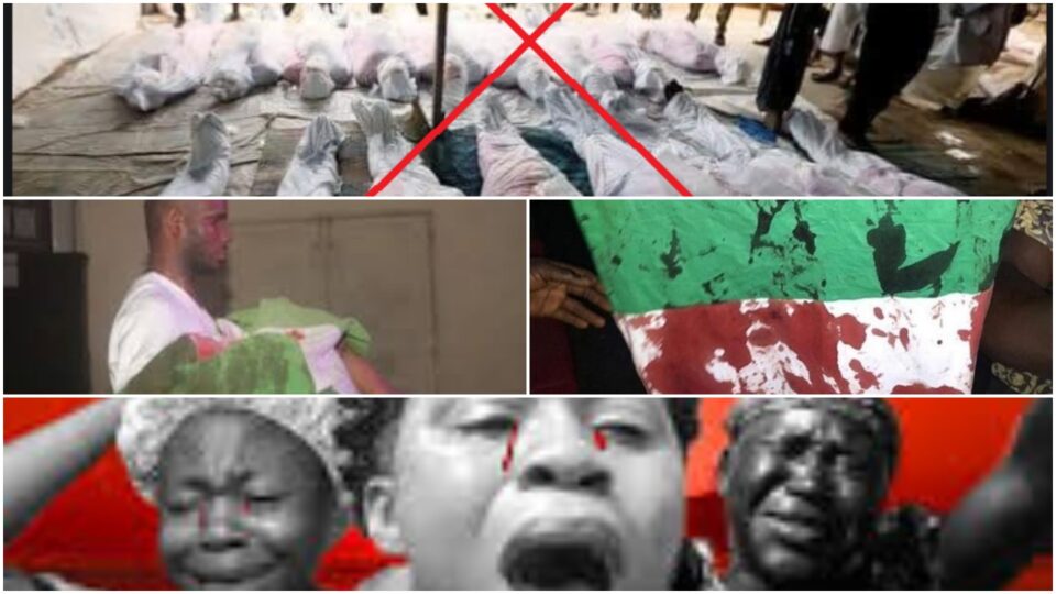 Lekki Massacre: Fake News, Anarchy and the Rest of Us