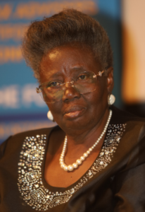 CITN Harps On Taxation As Policy Instrument For Economic Stability