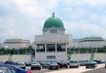 The National Assembly, NASS